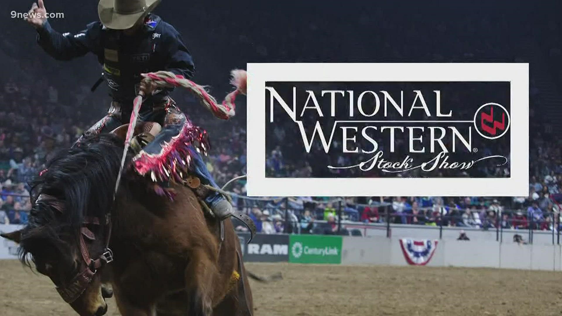 9NEWS' Liz Kotalik speaks with the Manager of Horse Shows of the National Western Stock Show. From ranch rodeos and reining to draft shows and roping, the National Western's horse shows are some of the most prestigious in the country. The 2019 NWSS ends Sunday, January 25.