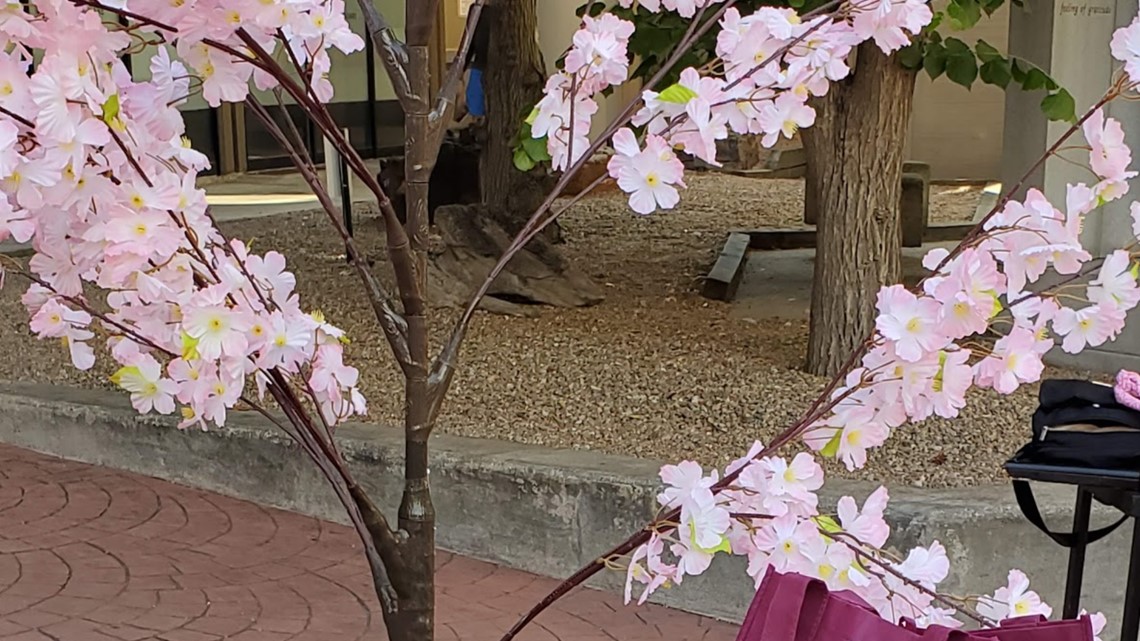Denver's 47th annual Cherry Blossom Festival returns June 22 to 23
