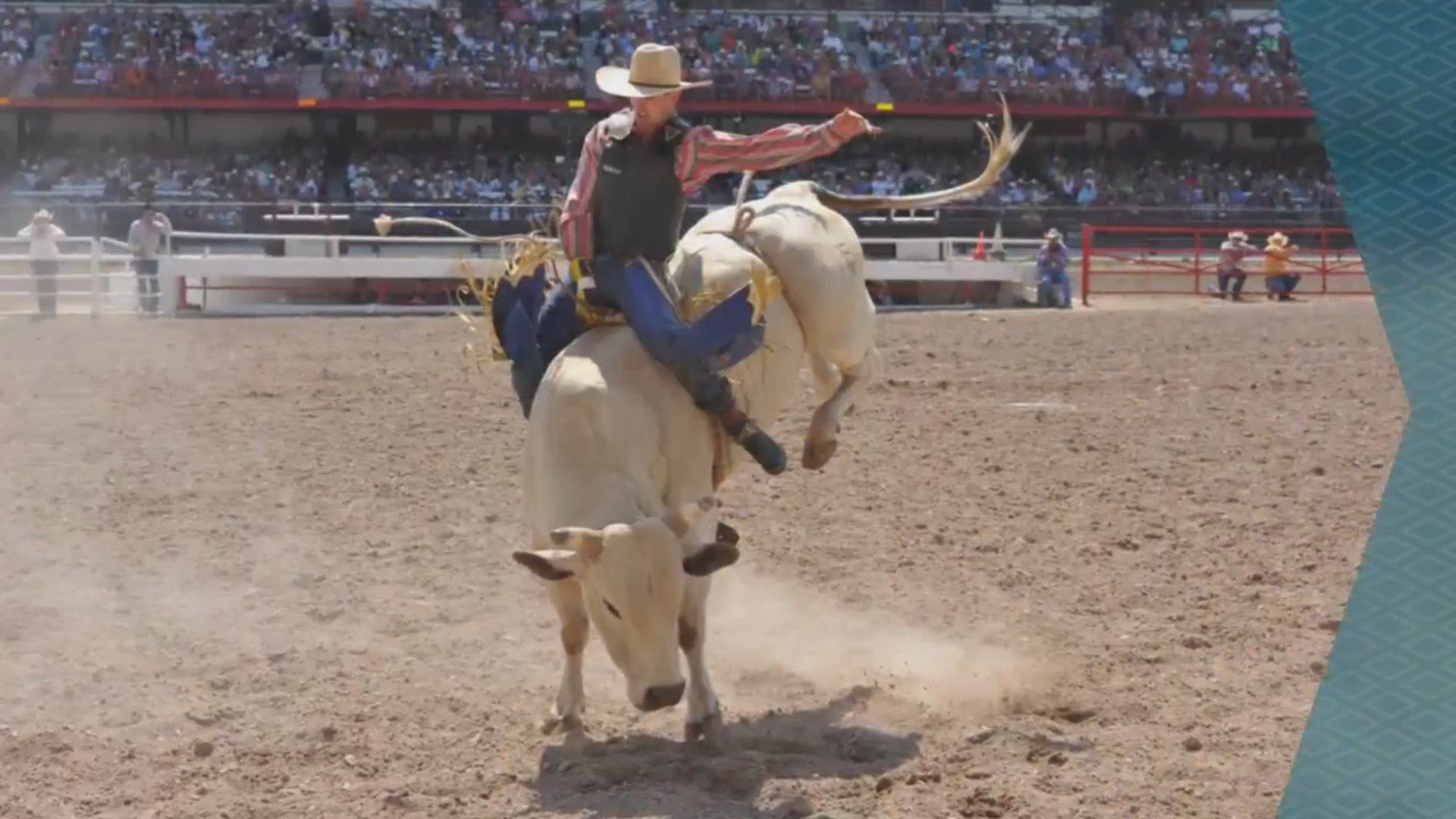 Cheyenne Frontier Days Pbr 2024 Eddy Nerita