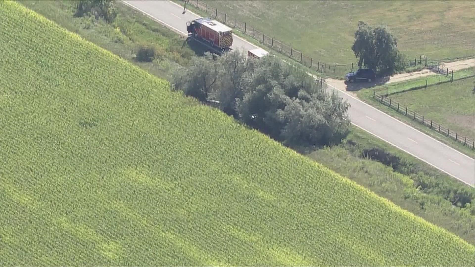 Footage from Sky9 shows the second downed plane in a tree.