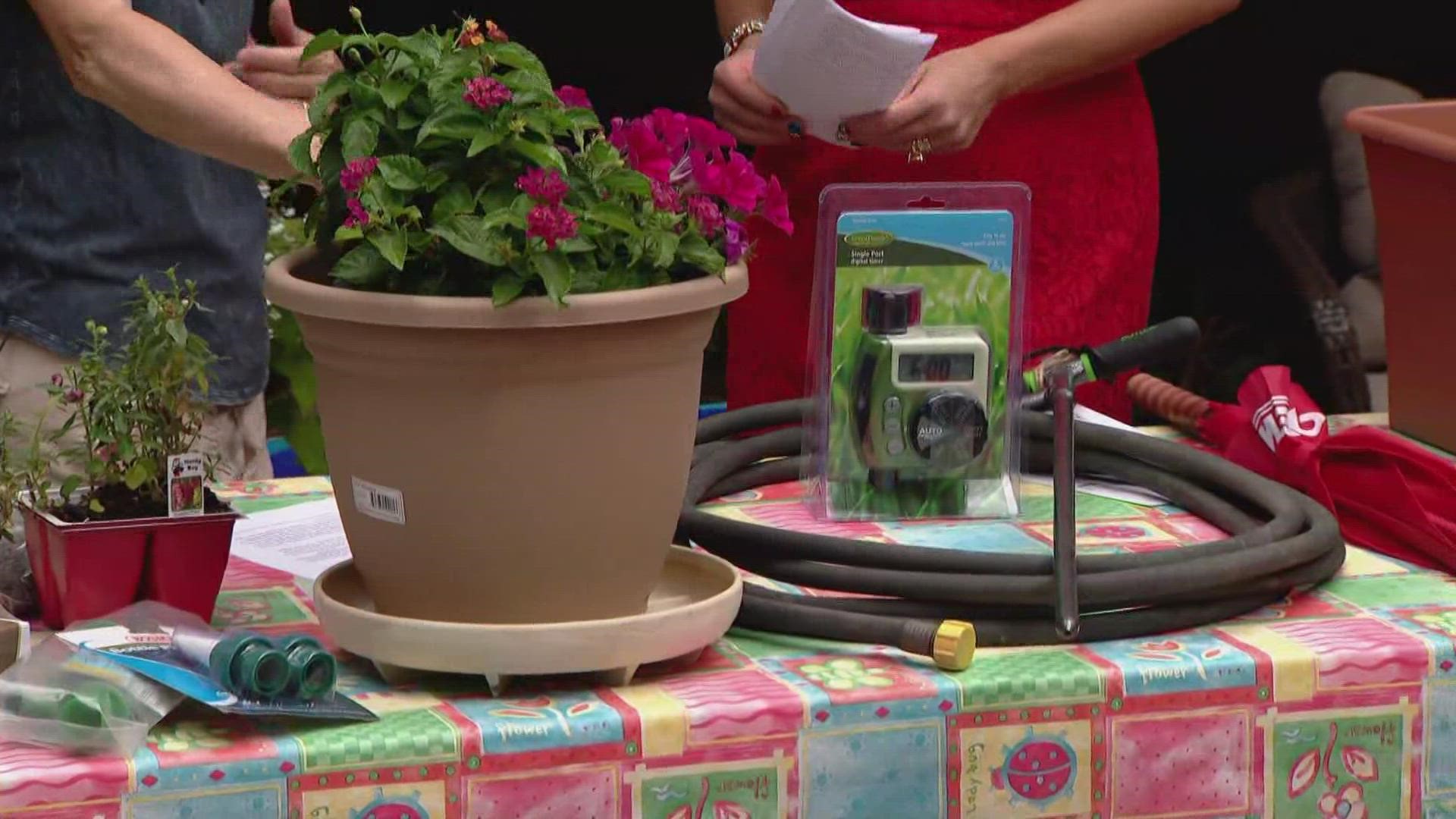 Debi Borden-Miller is with the Associated Landscape Contractors of Colorado. She's here to talk about how to protect your plants and save water.