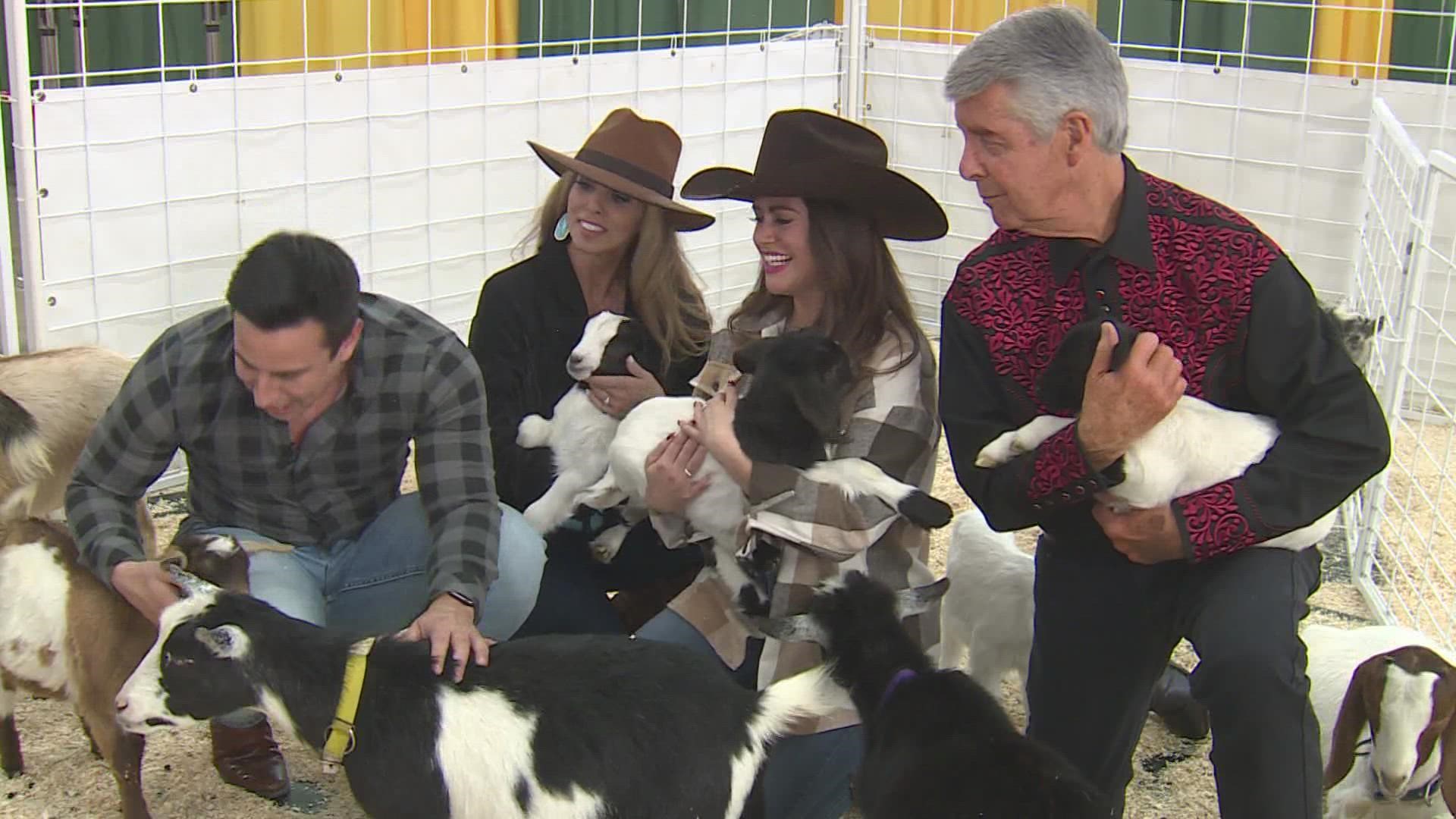 The 9NEWS Mornings team took a trip to the National Western Stock Show to check out some of the fun offerings happening this year.