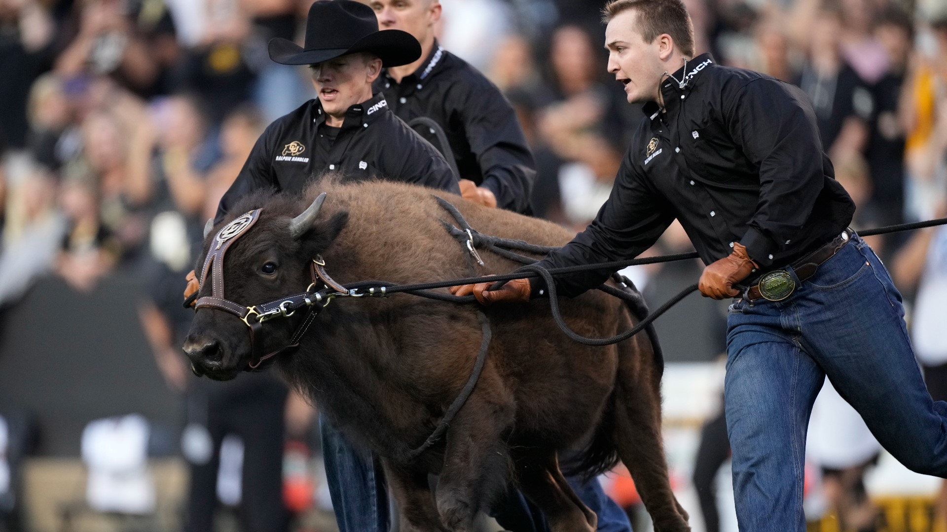 Deion Coach Prime Sanders Meets Cu Buffalo Mascot Ralphie 3272