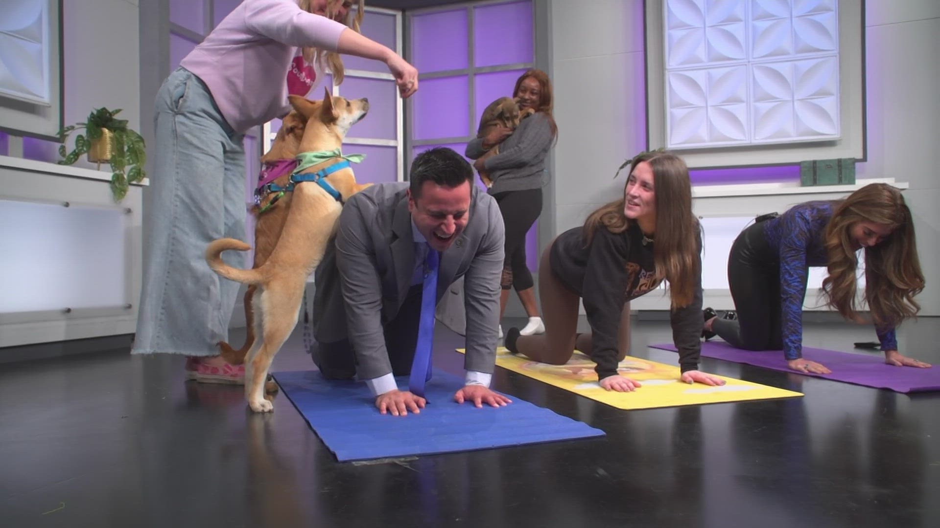 Rescue Puppy Yoga events mix adoptable puppies with a beginner's yoga class.