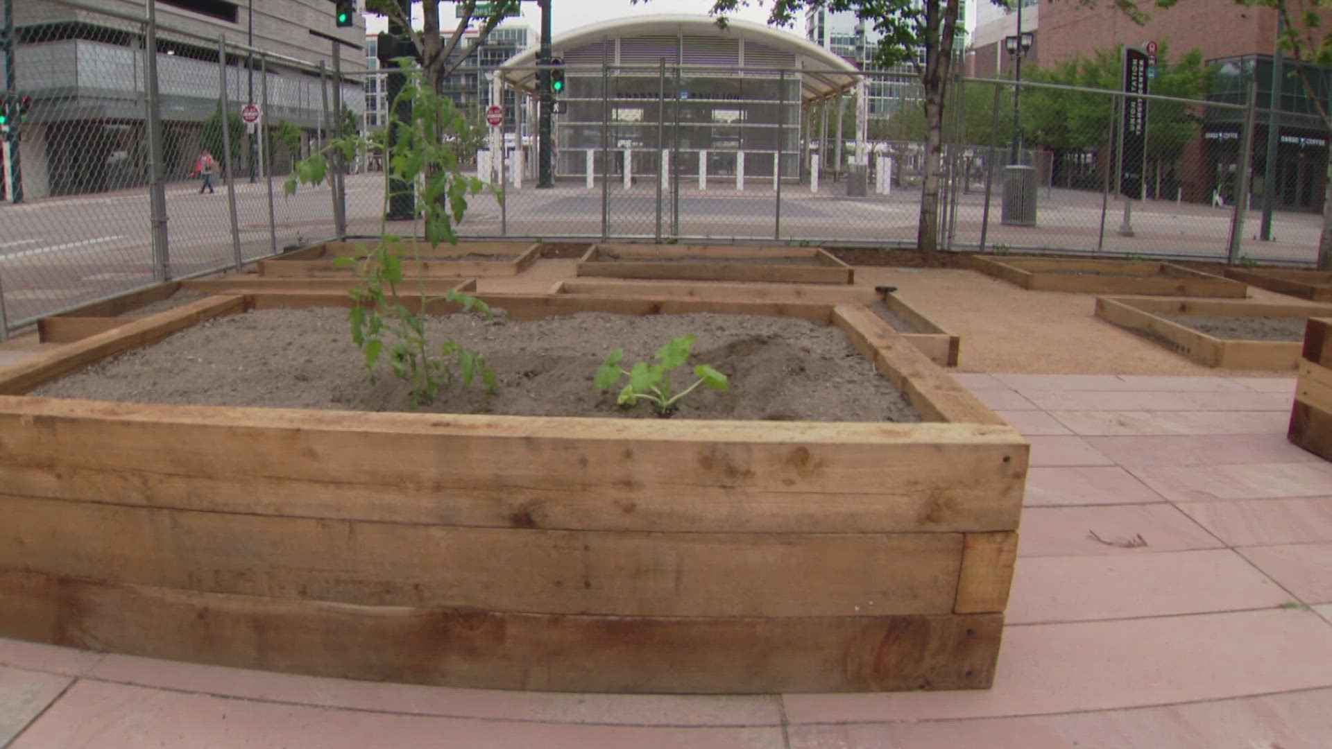 The 17th Street Community Garden is tucked between Wewatta Street and Chestnut Place on 17th Street near Union Station.