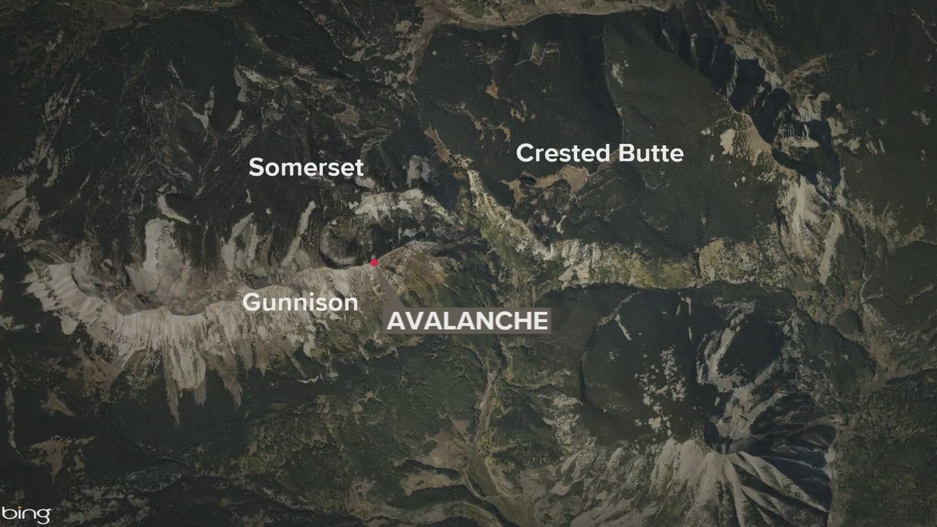 The skier's partners were able to find him and pull him from the avalanche debris, but he died from his injuries.