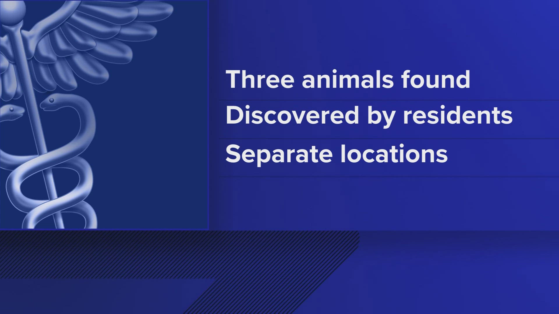 Boulder County health officials said, on average, about 15% of bats that were tested for rabies were found positive for the disease.