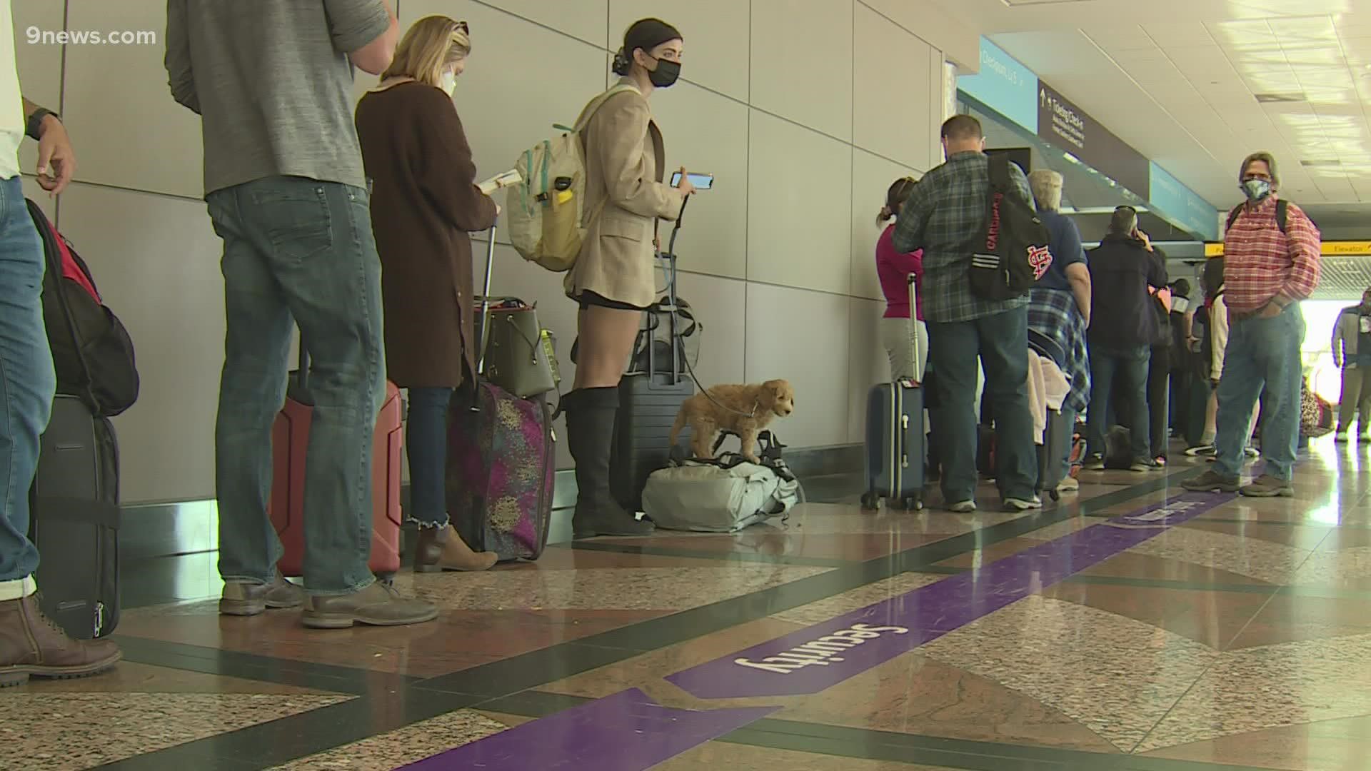 The airline canceled more than 140 flights in and out of DIA on Sunday.
