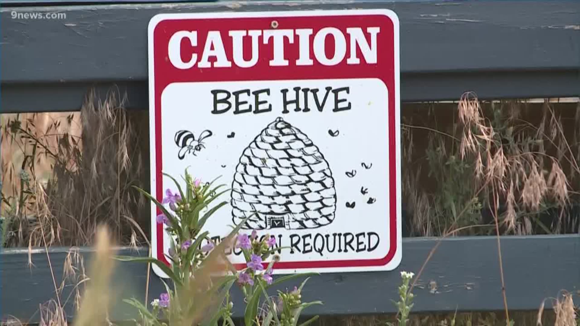 Rocky Mountain Bees in Colorado Springs said they were wiped out during that storm. and lost about 2/3 of their bees mainly from the persistent high winds that blew through.