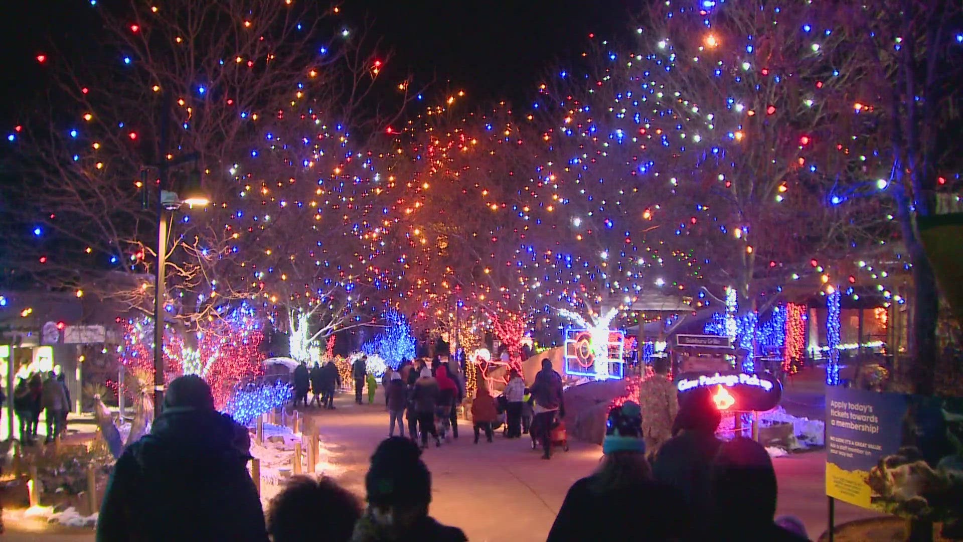 Winter is a less busy time of year for the Denver Zoo, which costs $120,000 a day to operate.