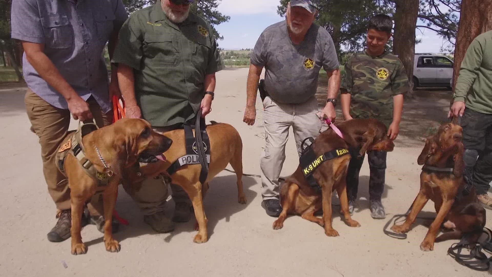 Bloodhound Man-Trackers provides law enforcement with most of the state's bloodhounds.