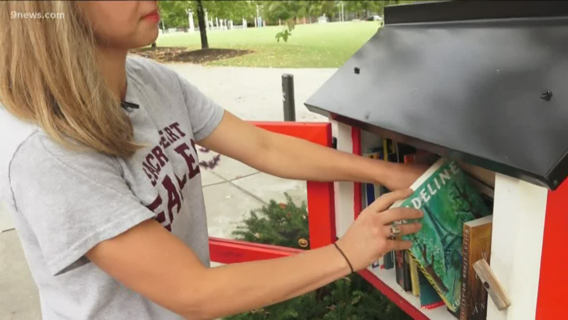 Little Free Libraries are small, community-sustained libraries with an ever-changing collection of titles.