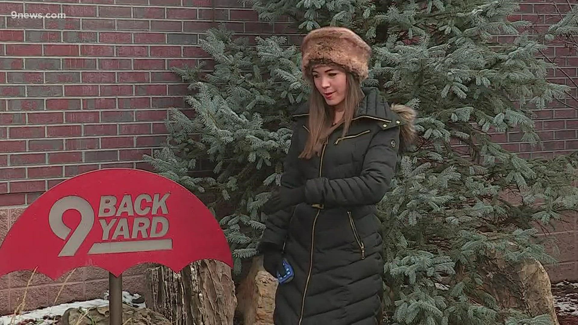 Snow is starting to taper off around Denver. Danielle Grant has a look at your Friday evening weather forecast.