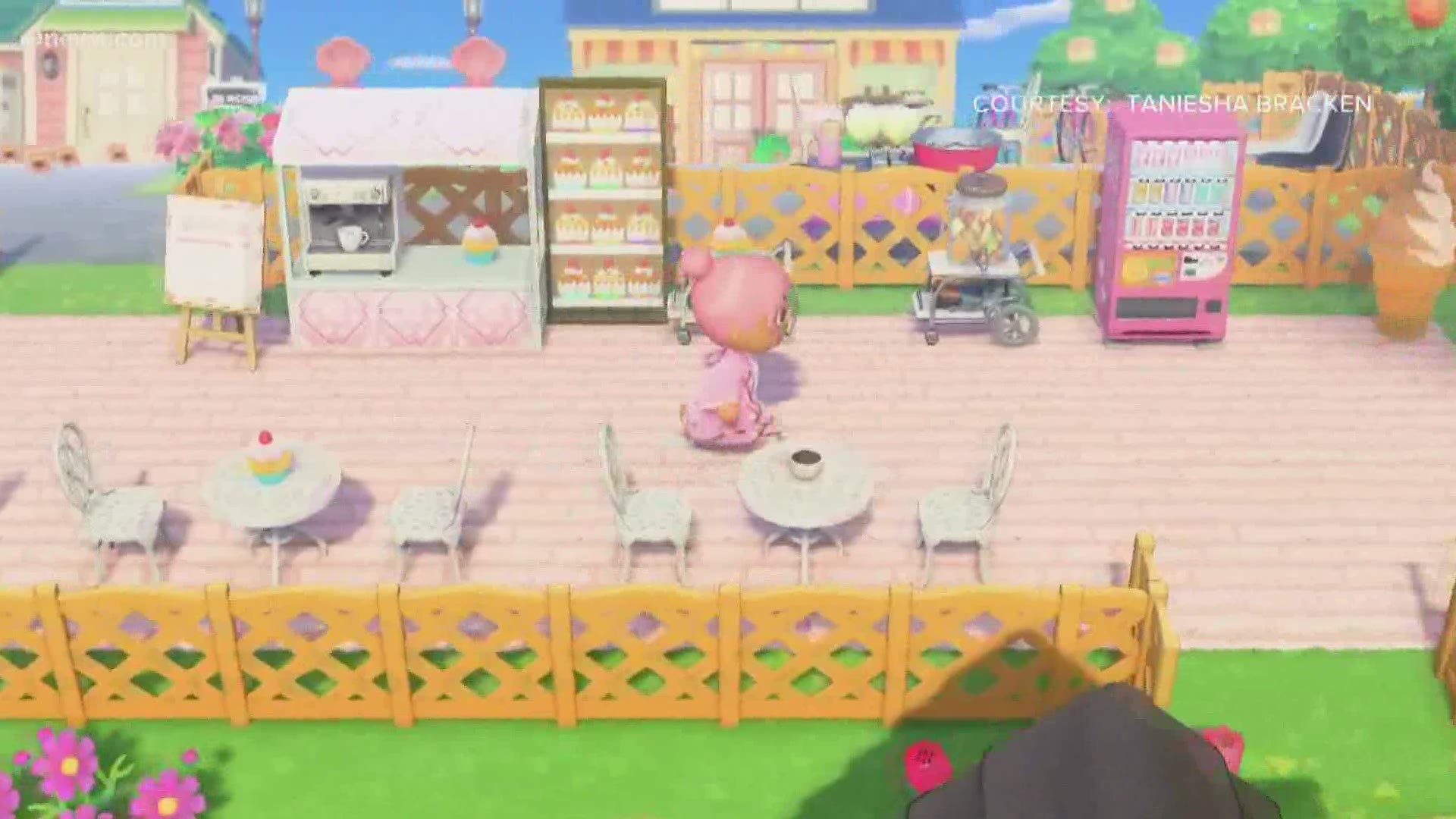 Aurora woman petitions Nintendo to add more diversity to Animal Crossing |  
