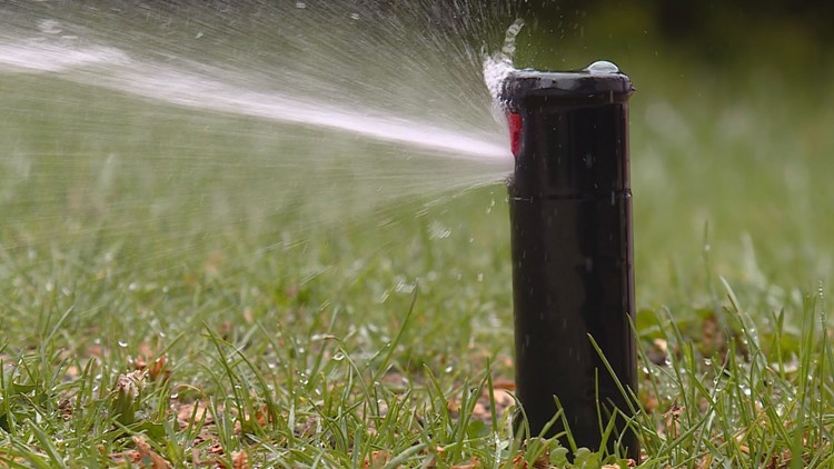 Brush up on the watering rules for your area | 9news.com