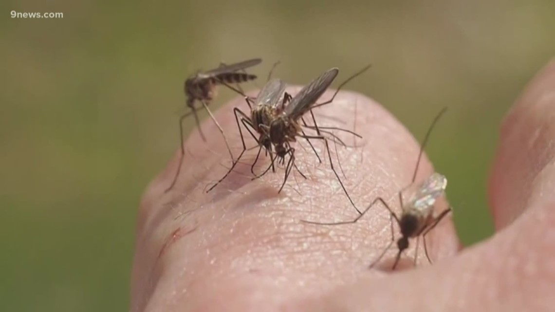 Denver confirms first West Nile virus case for 2024