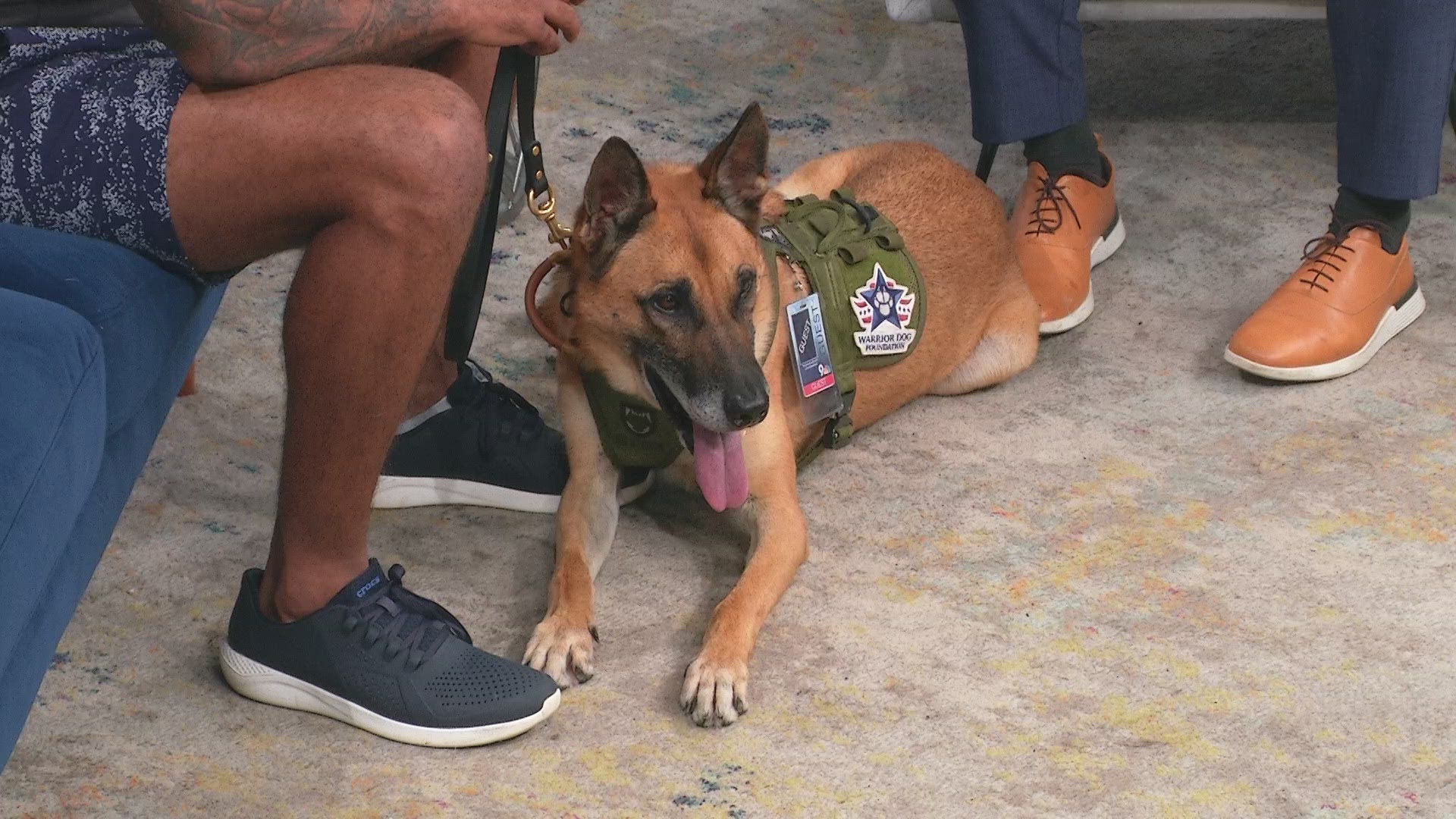 The Warrior Dog Foundation has been helping military and law enforcement dogs transition into civilian life for 12 years.