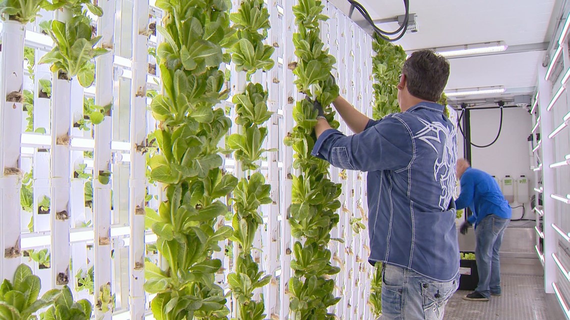 Entrepreneurs design a new kind of sustainable farming (with an urban twist)
