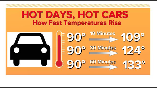 this-is-the-temperature-outside-vs-the-temperature-inside-your-car-9news