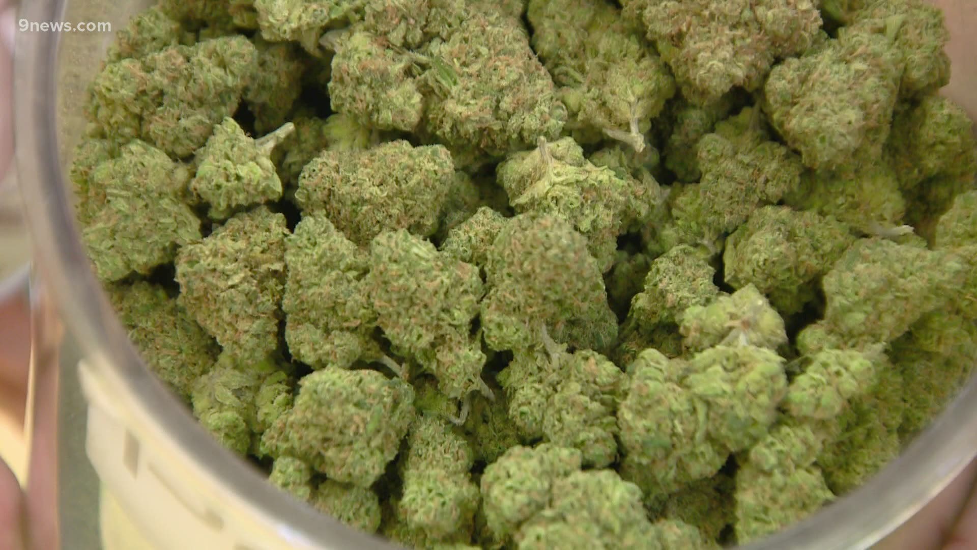 Denver City Council will decide whether or not  to allow pot deliveries and hospitality establishments.