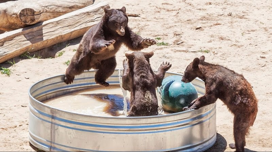 The Wild Animal Sanctuary, Keenesburg, CO