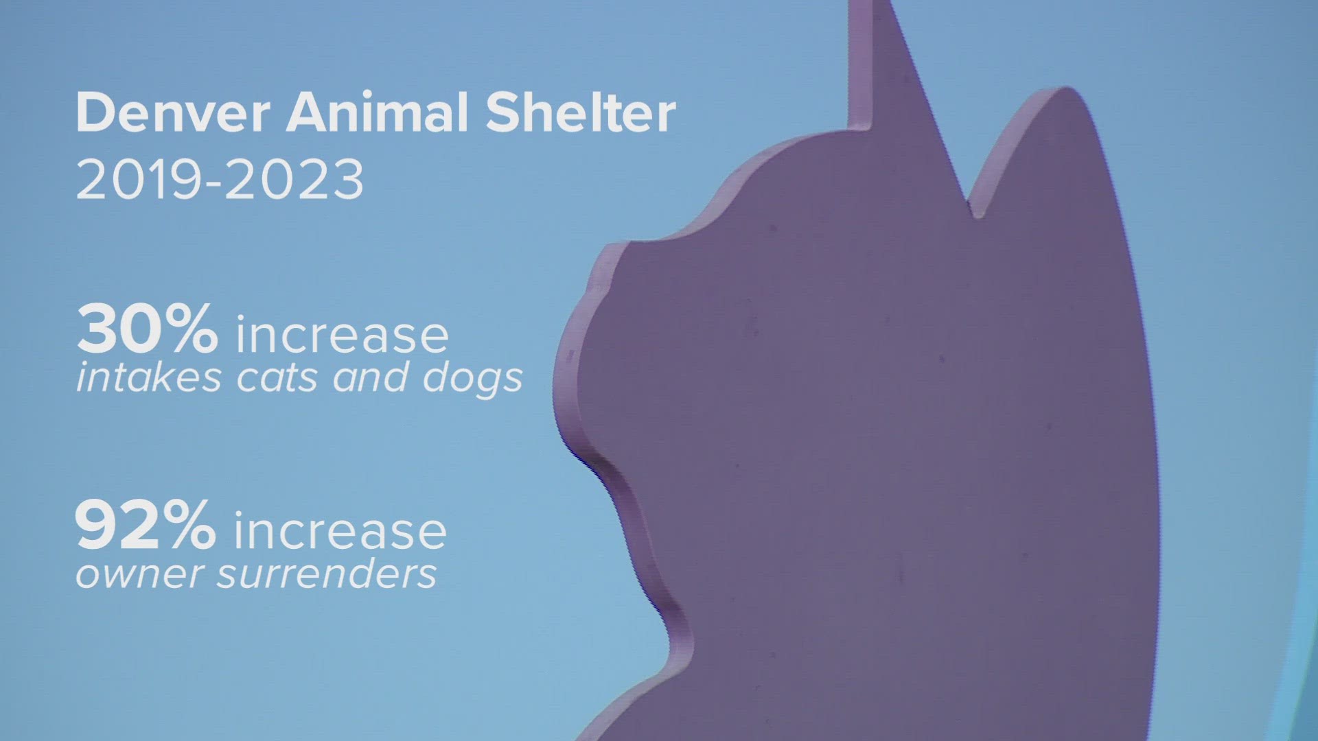Denver Animal Shelter has seen a 30% increase in the intake of animals, and a 92% increase in owner surrenders from 2019 to 2023.