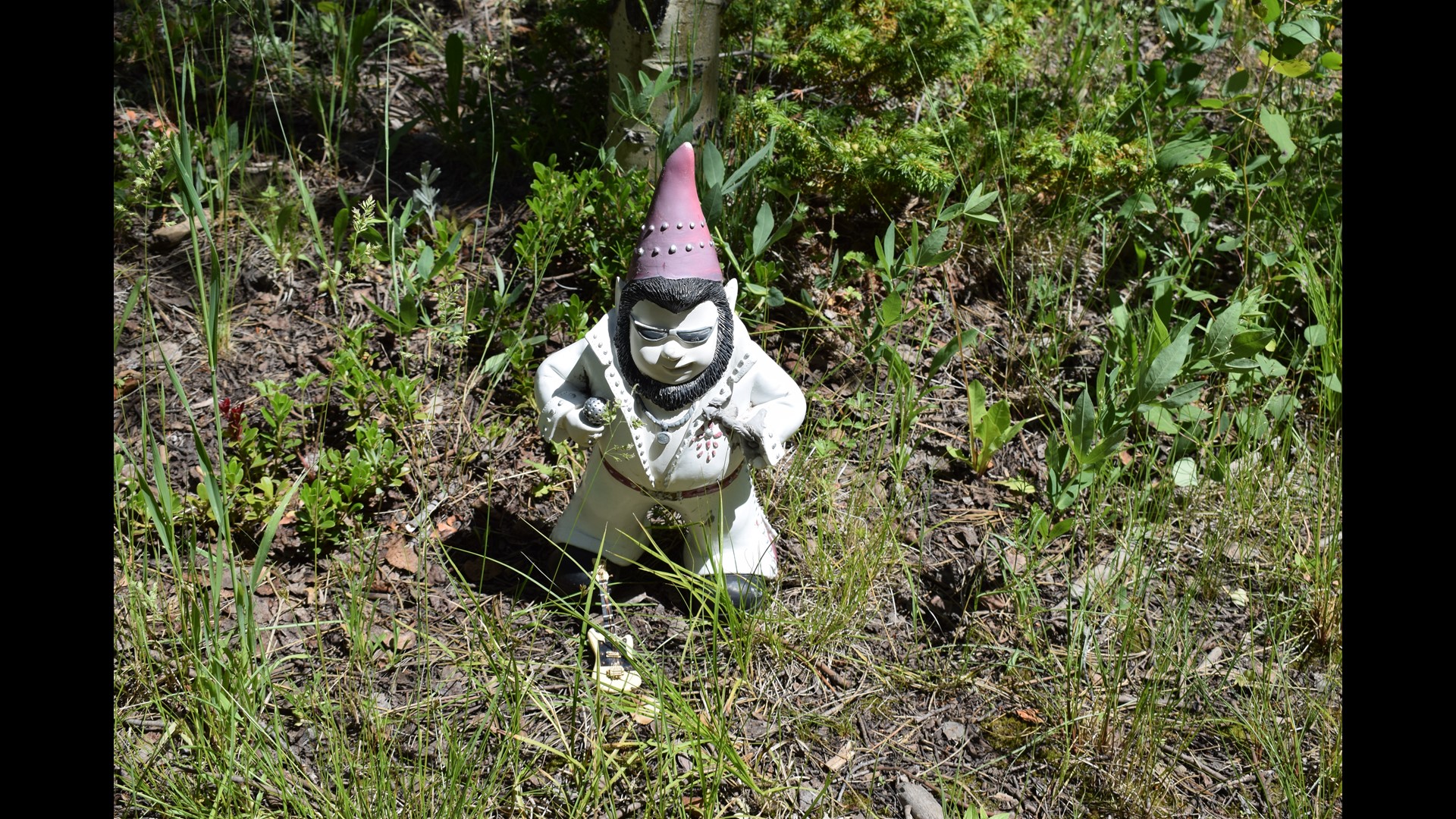 PHOTOS Exploring Gnome Road in Red Feather Lakes