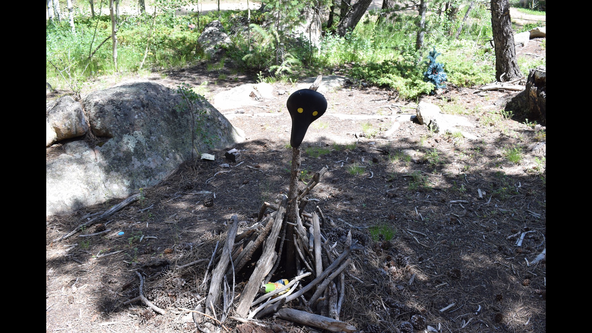 PHOTOS Exploring Gnome Road in Red Feather Lakes
