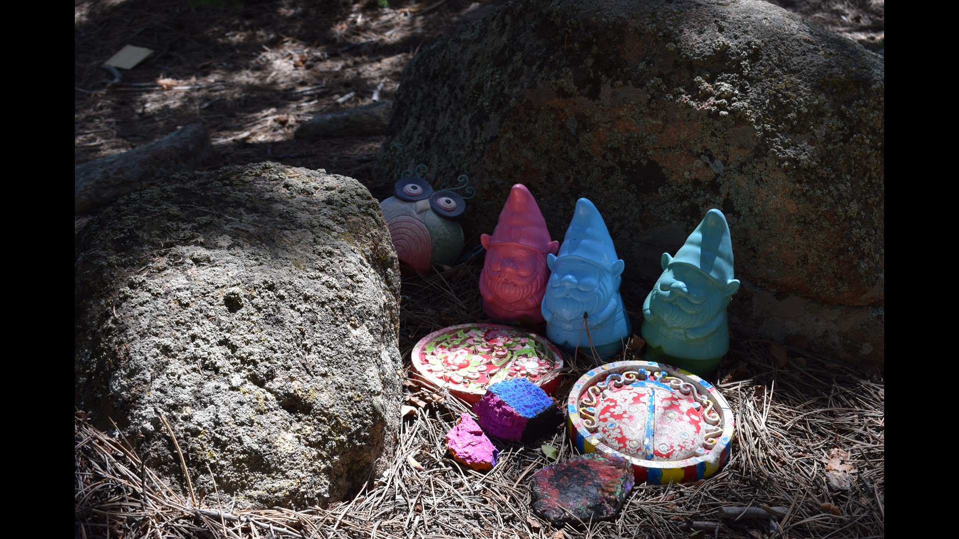 PHOTOS Exploring Gnome Road in Red Feather Lakes