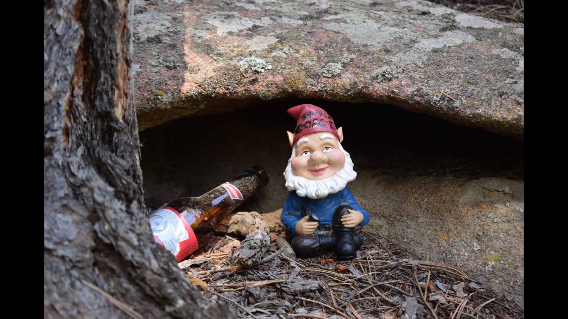 PHOTOS Exploring Gnome Road in Red Feather Lakes