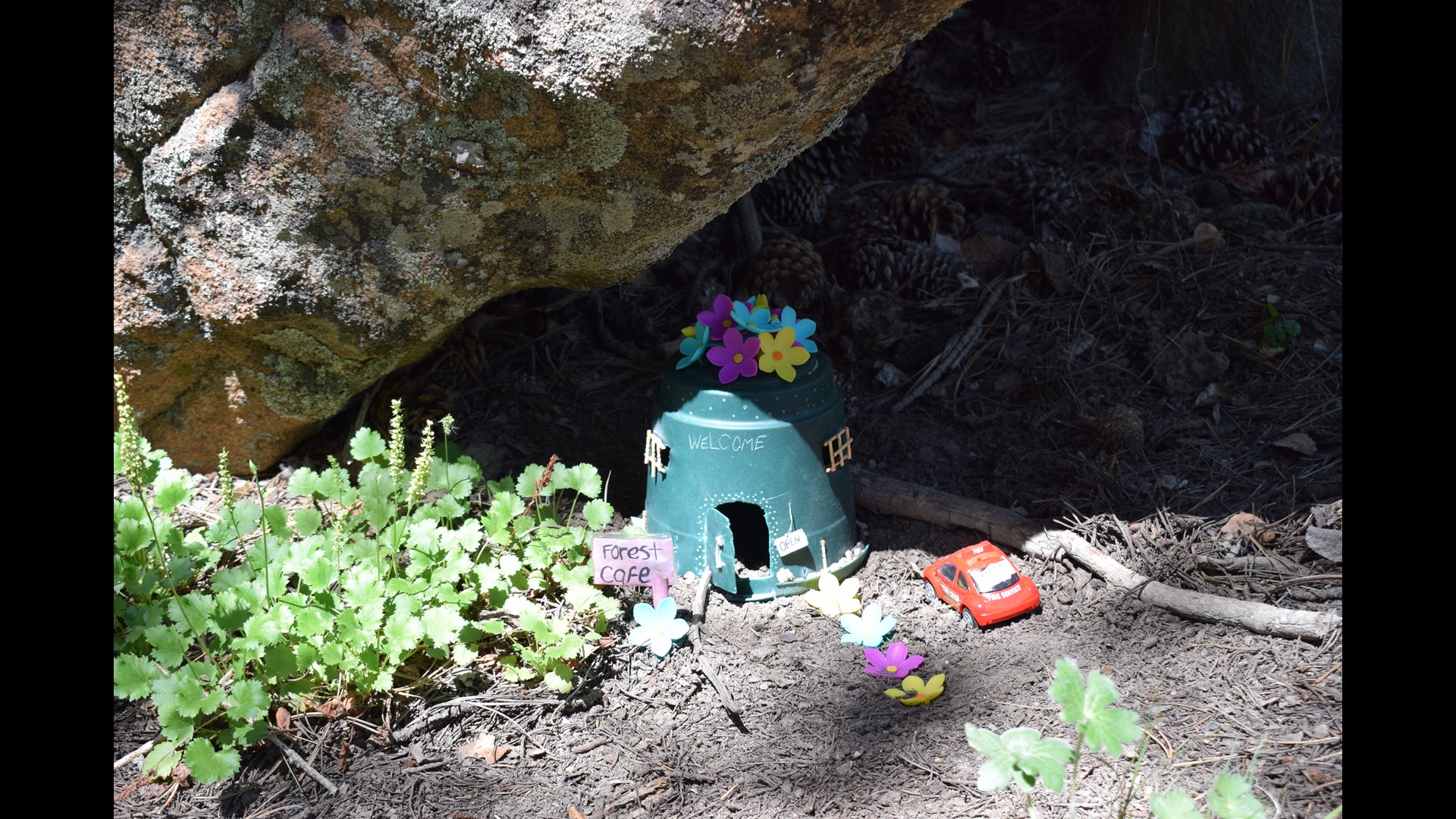 PHOTOS Exploring Gnome Road in Red Feather Lakes