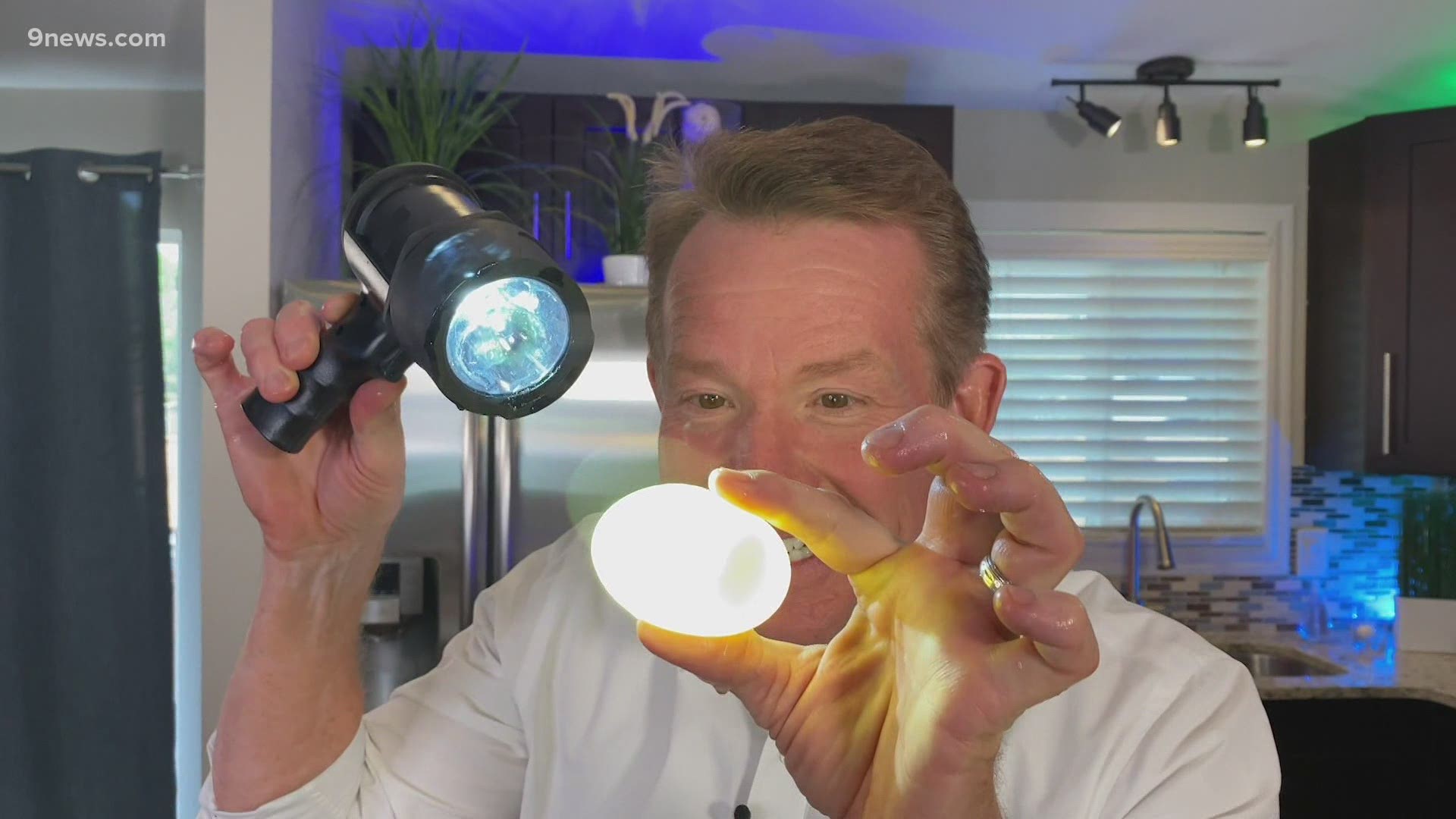 Steve Spangler shows us how playing with our food actually lets us know more about the chemistry of eggs.