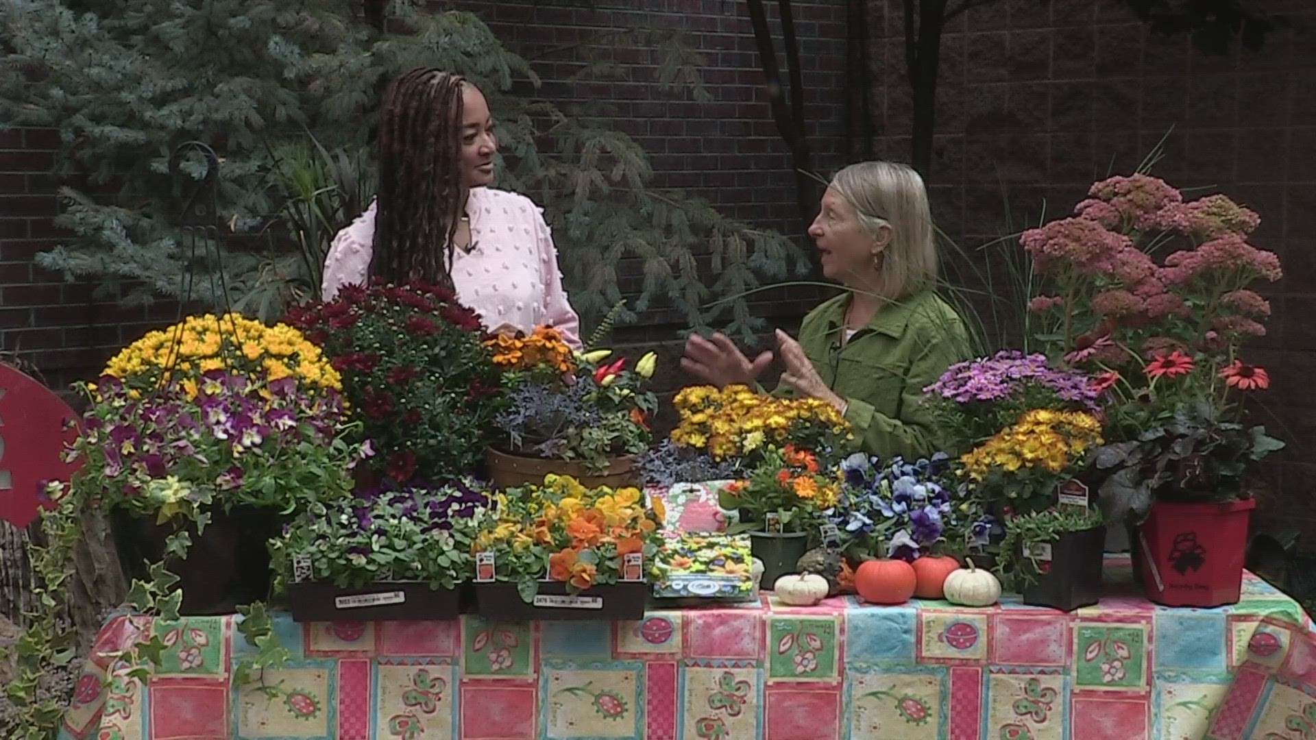 Gardening expert Debi Borden-Miller gives tips on how to take care on your plants as seasons start to change.