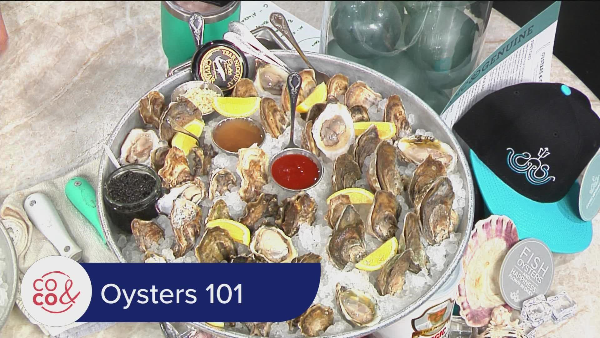 Love 'em or hate 'em, oysters are king, because August 5 is National Oyster Day! Crafted Concepts Restaurants culinary director Tim Kuklinski shows us how to shuck.
