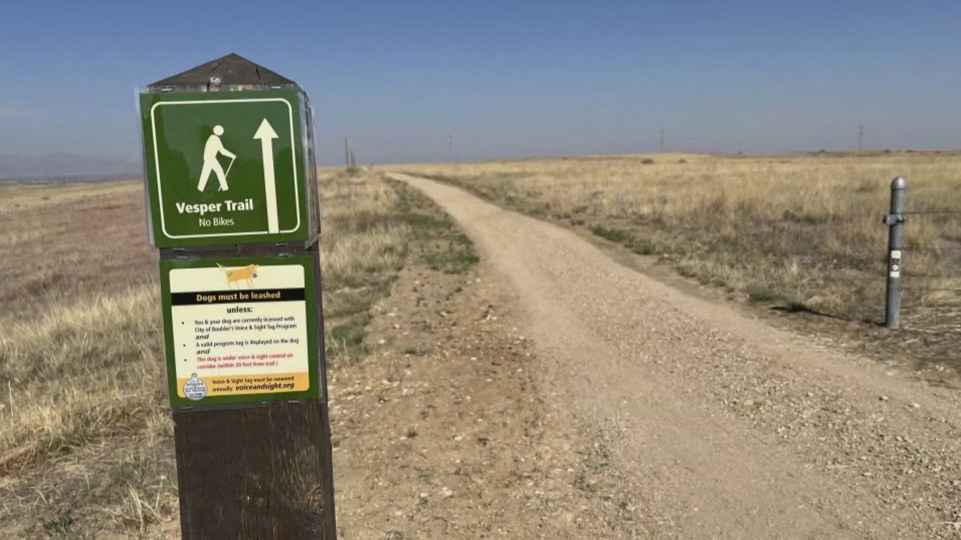 A new trail in Boulder was set to open in June...until two burrowing owls decided to move in right next door.