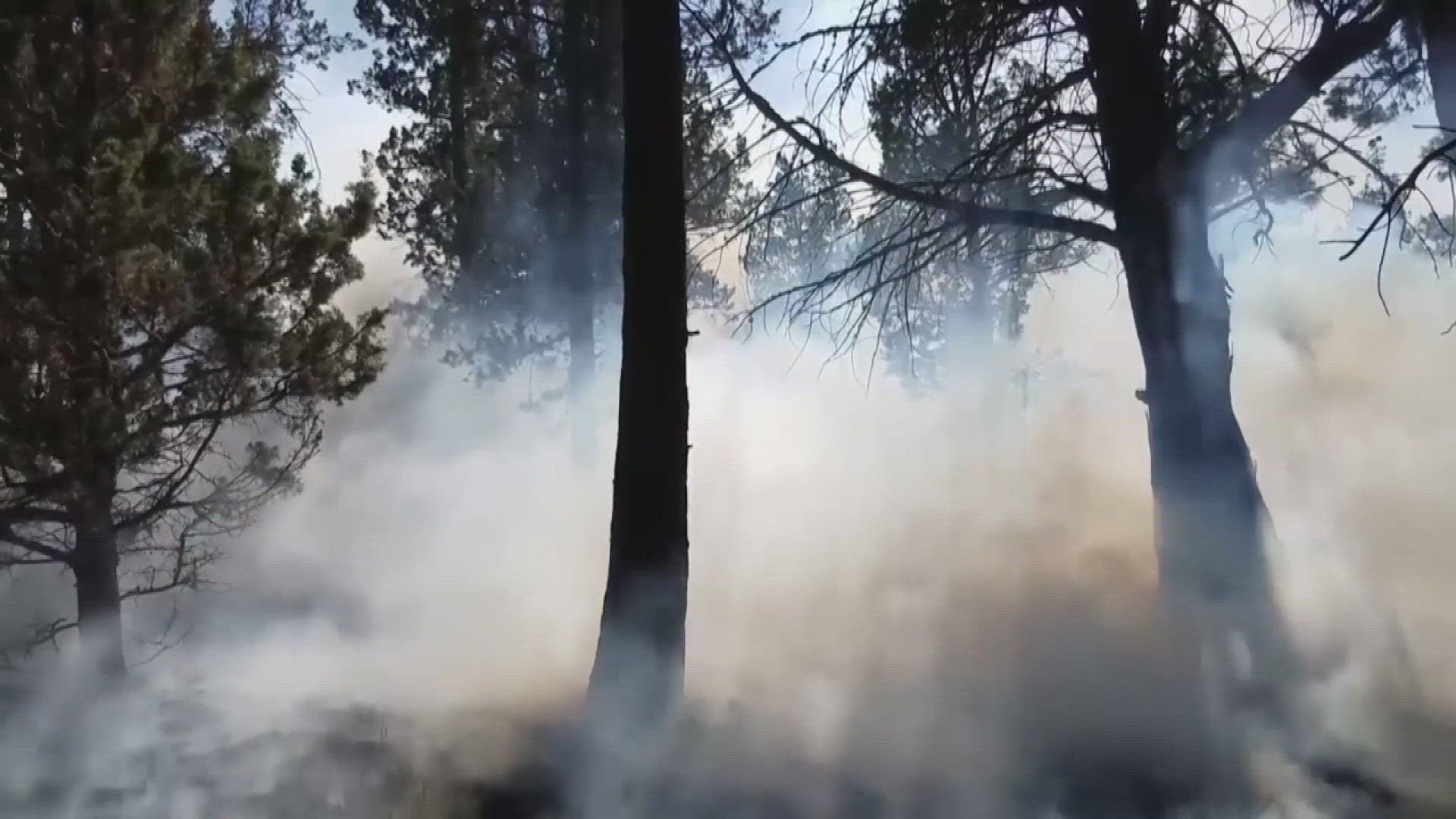 A new drought-prediction model being developed at NCAR in Boulder can forecast wildfire probability, and water shortages, more accurately than ever before.