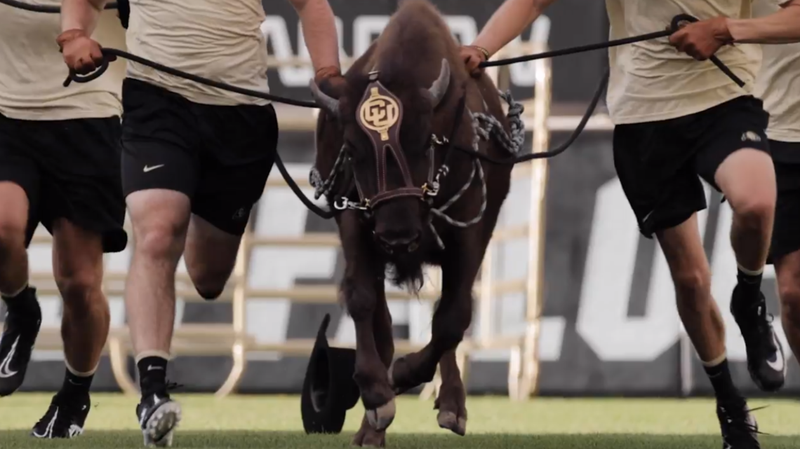 Another former Seminole joins the Buffaloes - The Ralphie Report