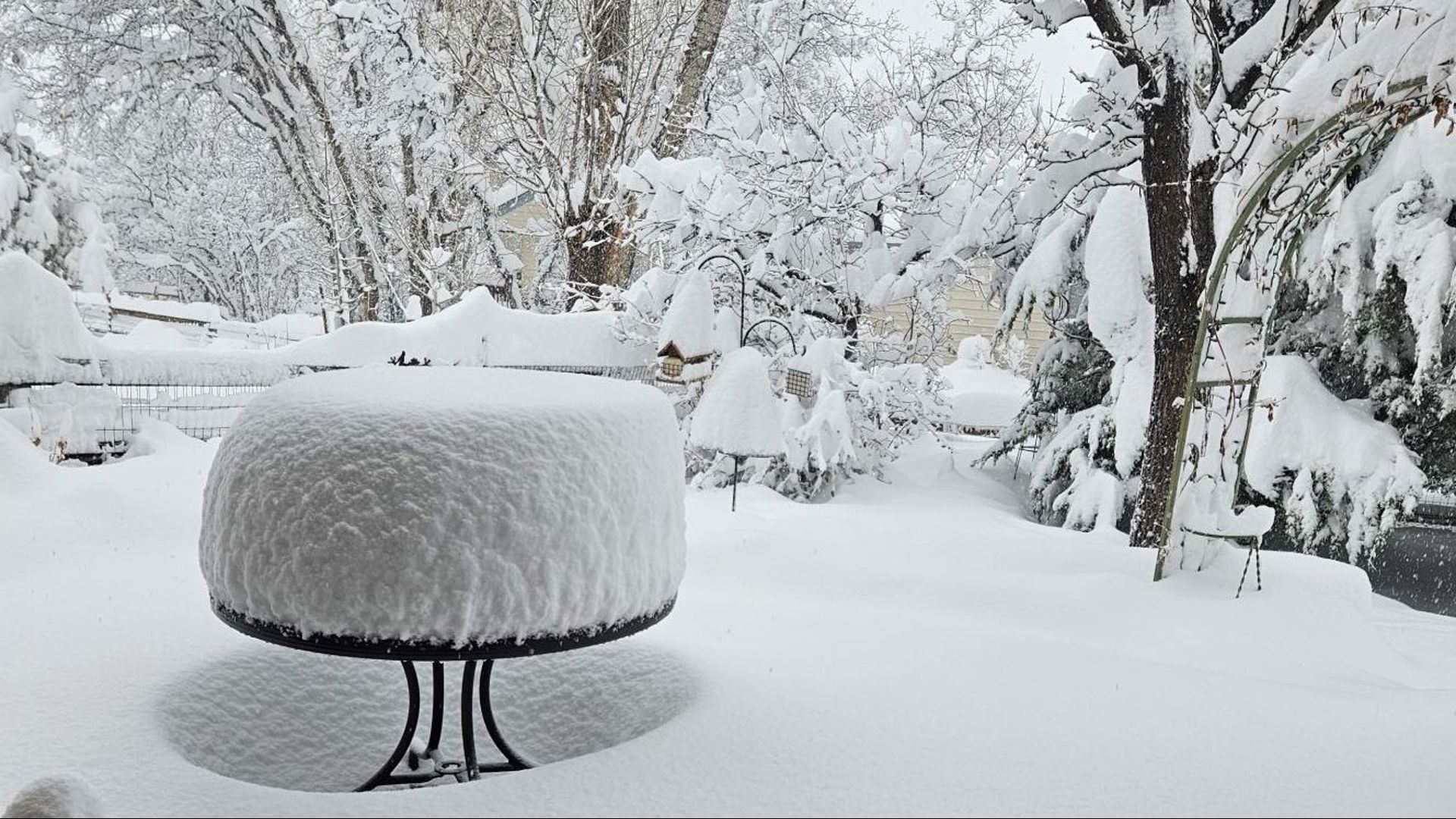 Business, school closings, delays in Colorado and Denver Thursday