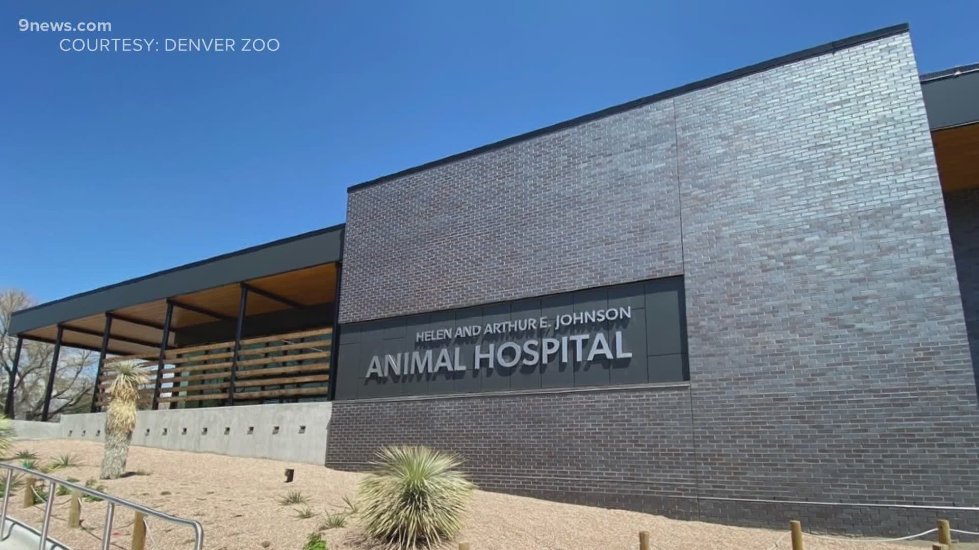 Good news: Flying W Ranch reopens, zoo gets new animal hospital 