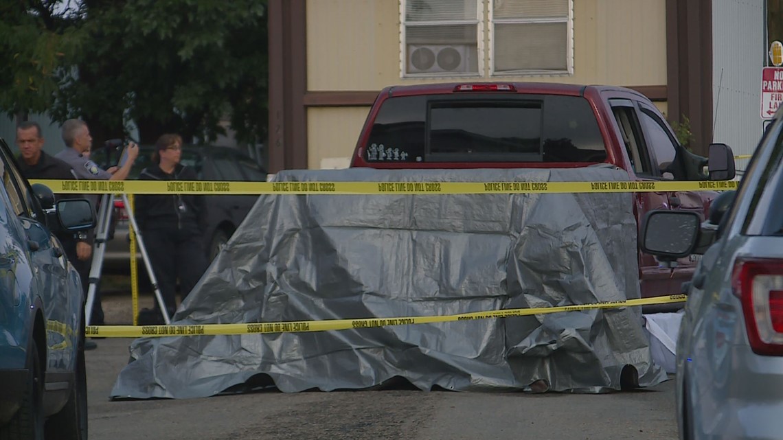 Mother runs over, kills 2yearold daughter