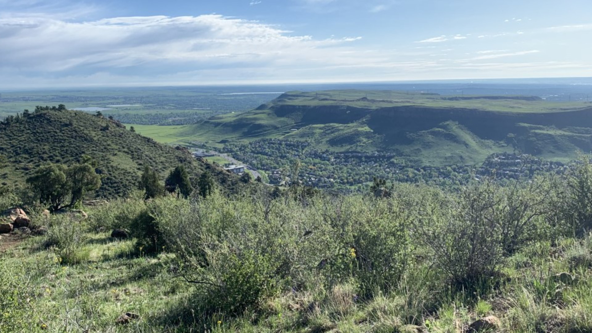 9 amazing wildflower hikes near Denver