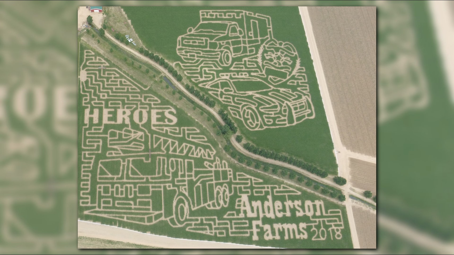 Here's how Anderson Farms made a corn maze dedicated to first