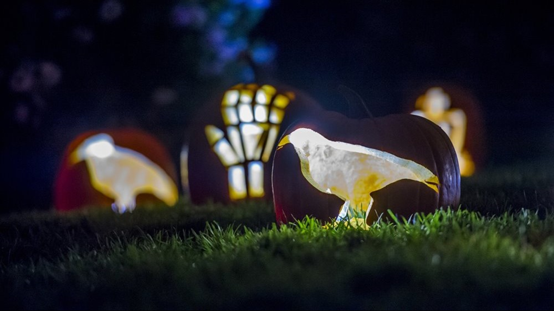 Denver Botanic Gardens is ready for a spooky Halloween