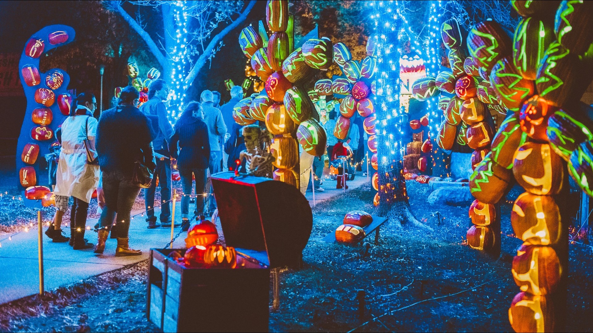 This Denver area Halloween festival features more than 3,000 jacko