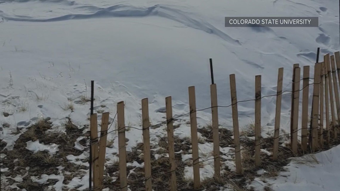 Using snow fences to better protect the water supply