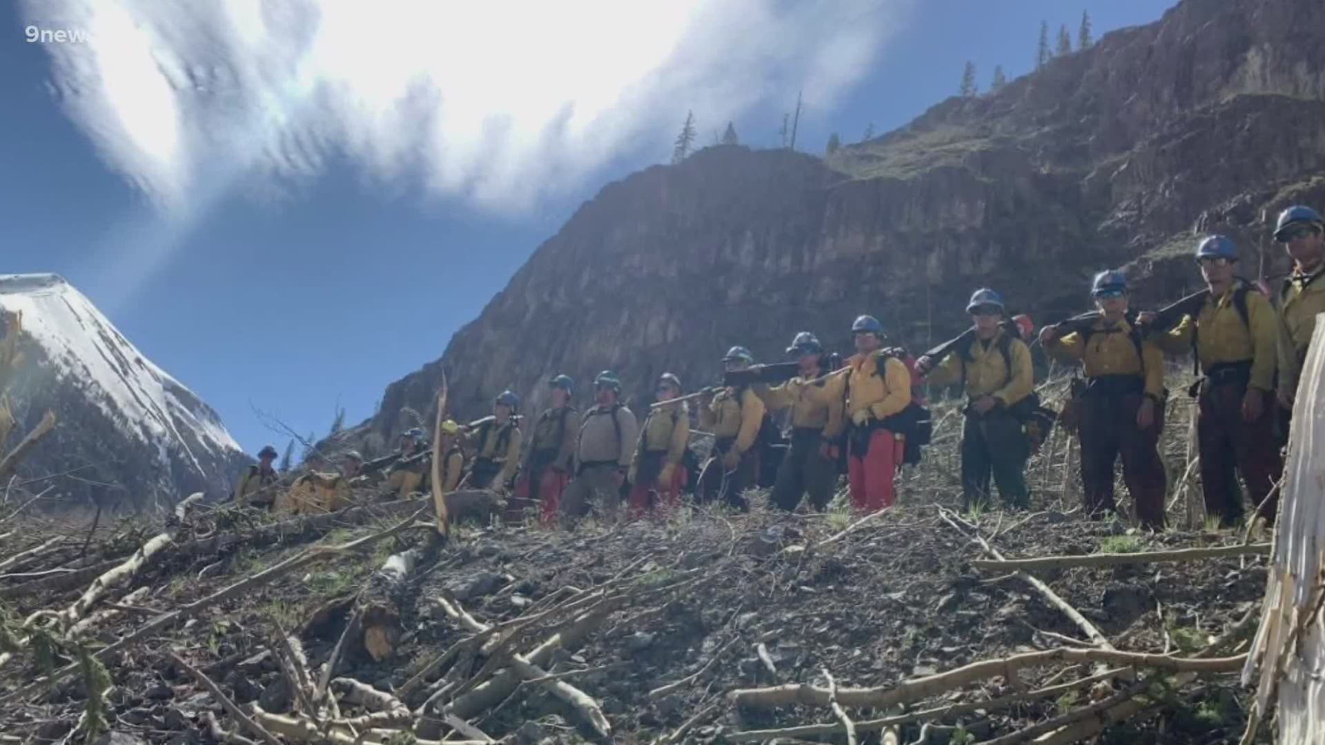 Scientists are studying downed trees to find answers to the state's historic avalanche season in 2019.