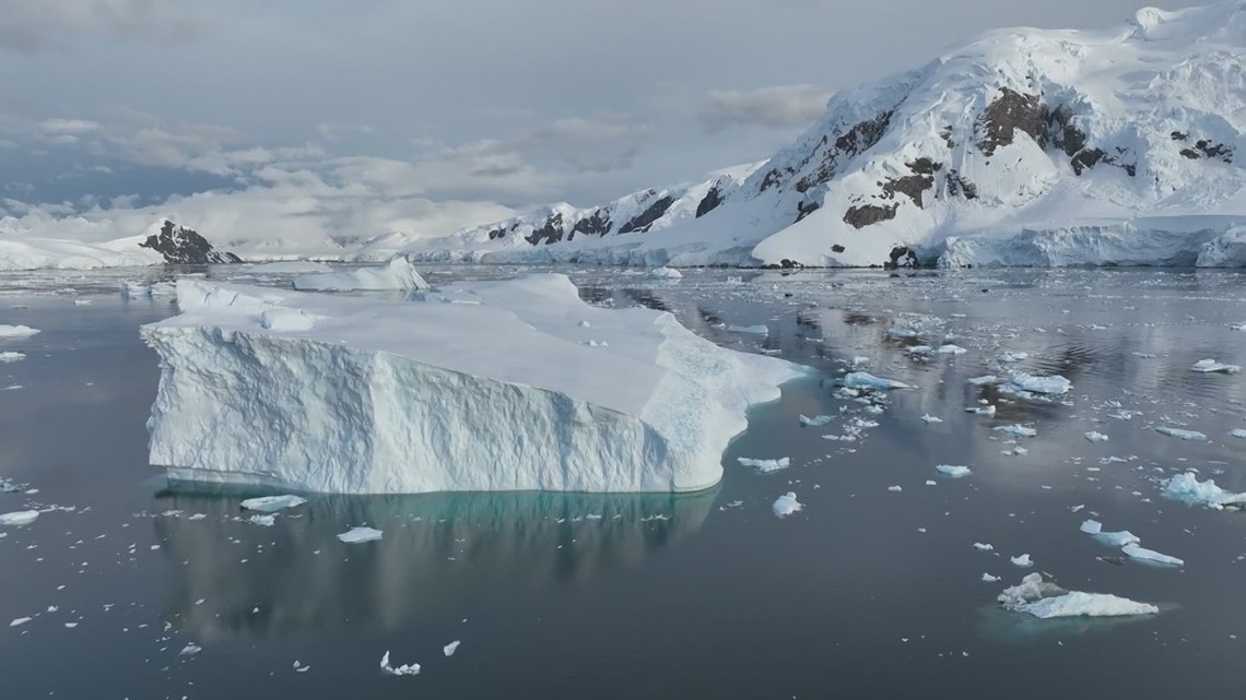 Acidic waters around Antarctica could impact marine life - Vimarsana News