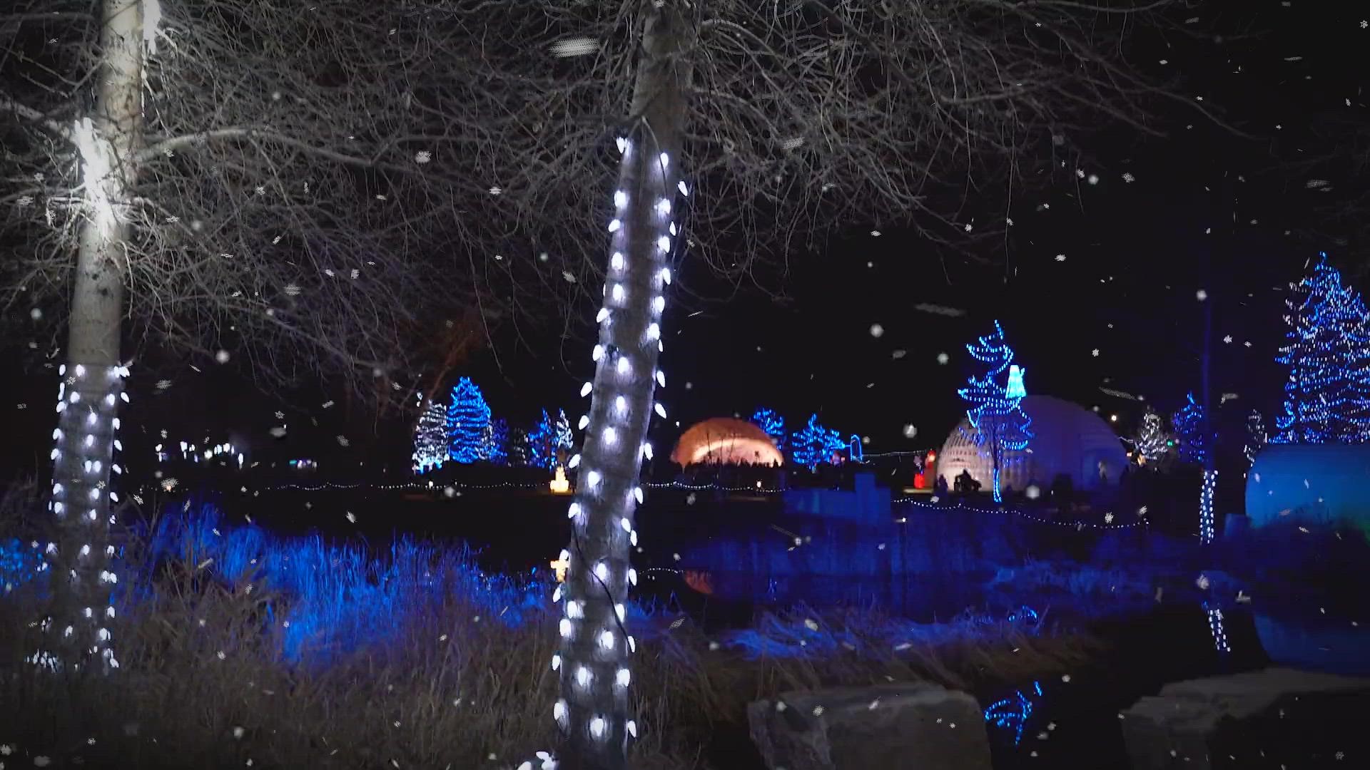 Winter Wonderlights is a free walkable lighting attraction situated in the award-winning Chapungu Sculpture Park at Centerra.