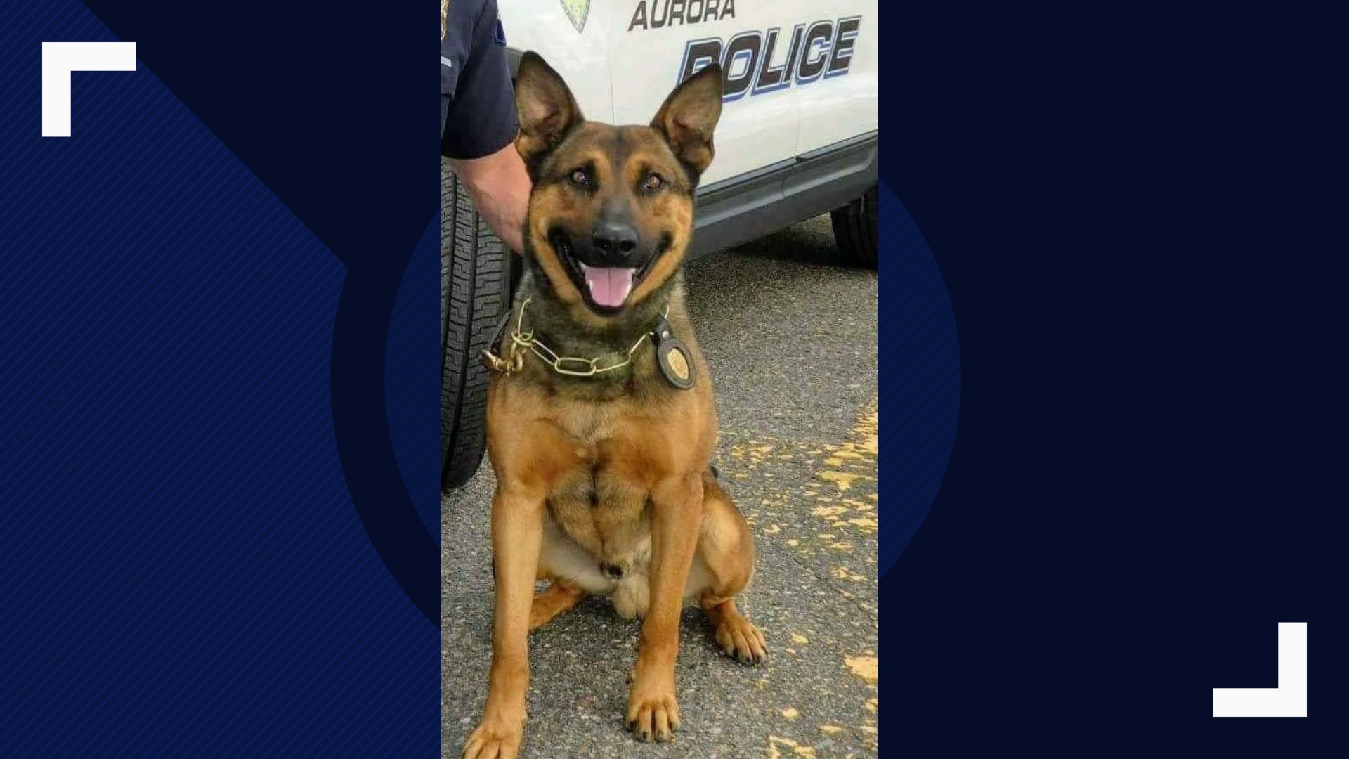 Aurora police mourn passing of K9