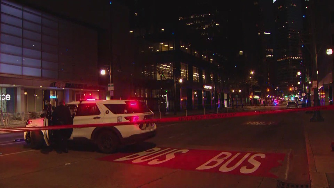 Man killed in shooting in downtown Denver identified | 9news.com